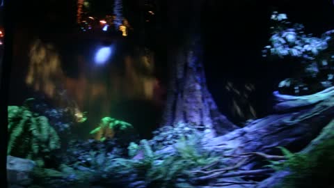 Walt Disney World Living with the Land dark ride attraction