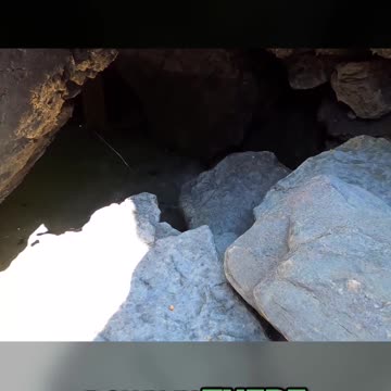 Discover Hidden Treasures Unveiling the Secrets of My New Swim Shoes