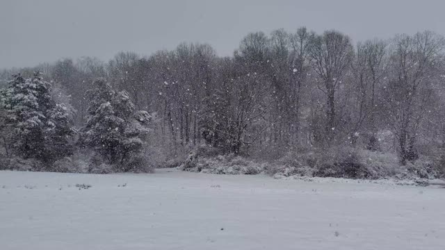 Snowing In the Mountains Around Gatlinburg