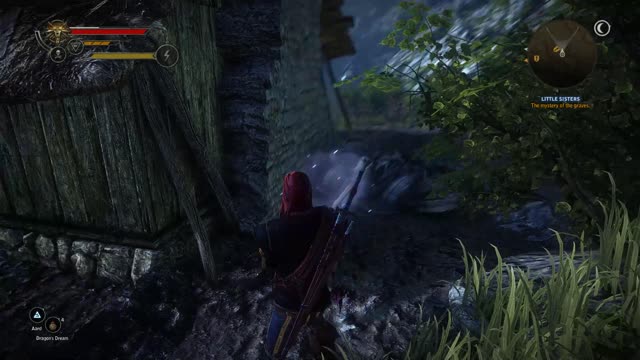 The Witcher 2, Just for fun, Pt.13
