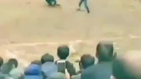 entertainment