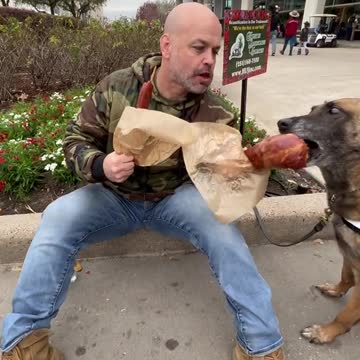 funny|prank|jokes|funny jokes|dad jokes|funny memes|funny video|fun|laughing|funny animal|knock