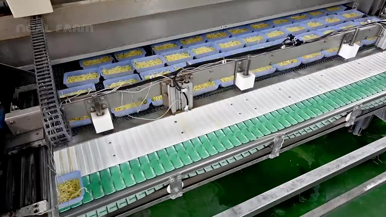 Japanese Mass Production - Japan Modern Food Factory Processing Line Compilation 2023