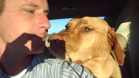 A DOG LICKING THE INSIDE OF A MAN'S MOUTH!!!!!!