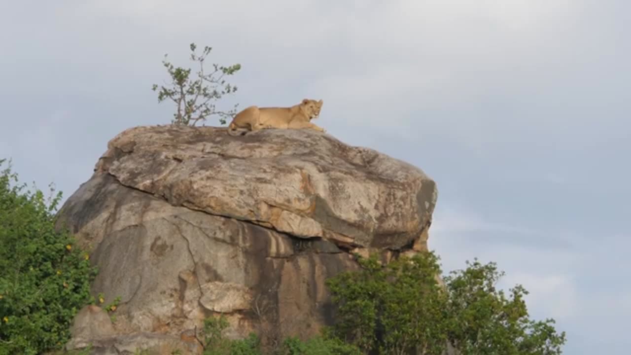 FLYING OVER KENYA 4K UHD Soothing Piano Music With Stunning Beautiful Nature For Stress Relief
