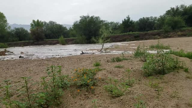 Major Wash Flooding Headwaters