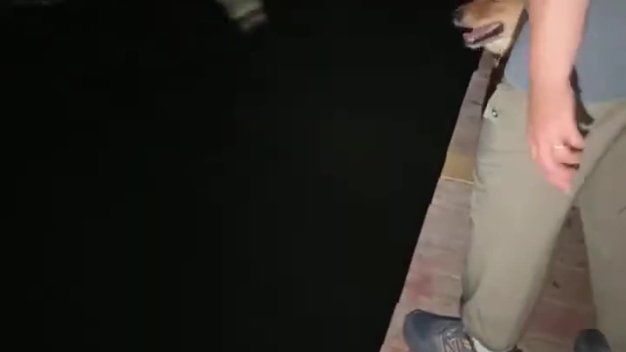 What was that?