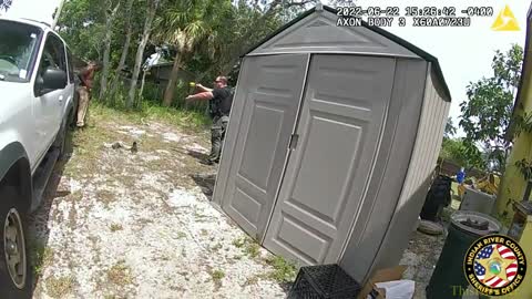 Indian River deputies tase man after he stabs clerk
