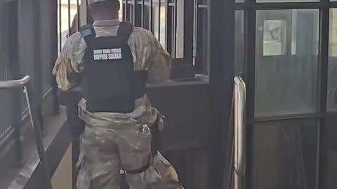 National Guard Spotted | NY & Brooklyn (Unverified | Do your own research)