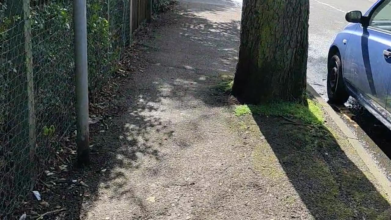 UK life