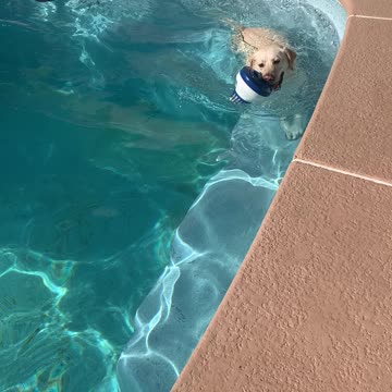 Angel swimming
