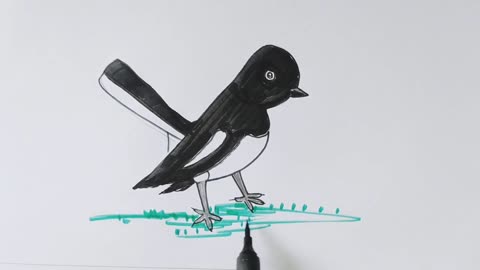 B দিয়ে সহজে দোয়েল পাখি আঁকা শিখুন। Easy Magpie drawing