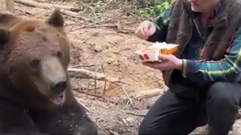 Shorts - Cheese?