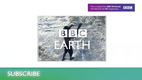 Amazing Fish Form Giant Ball to Scare Predators | Blue Planet | BBC Earth