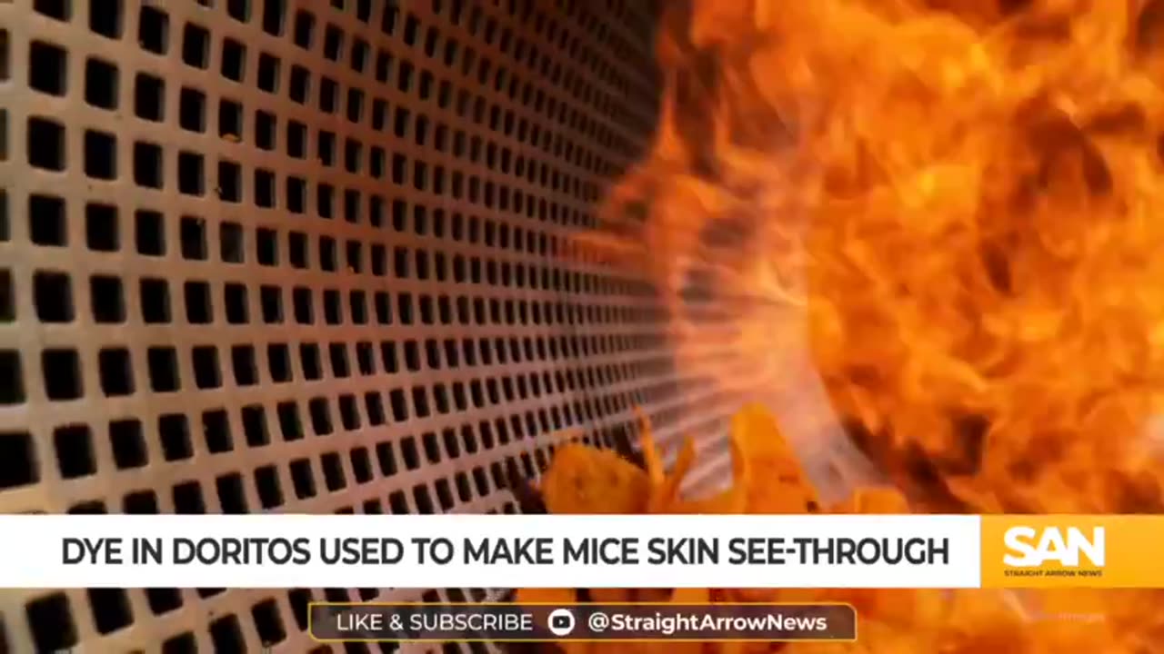 Dye In Doritos Makes Mice SEE THROUGH... WTF!