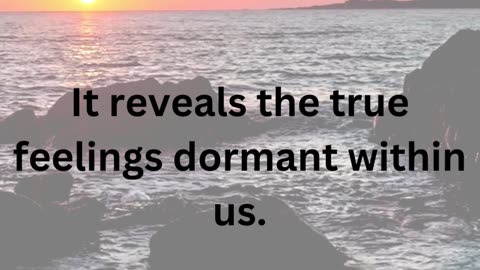 The Depths of Insight Description