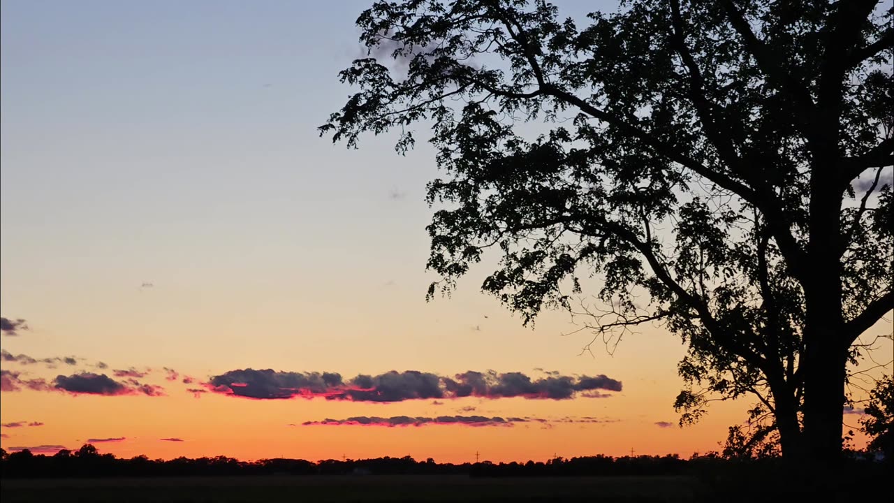 Sun setting blue skies