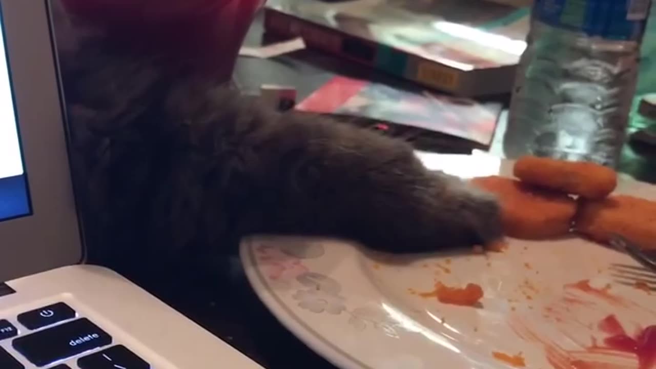 Not so smooth criminal