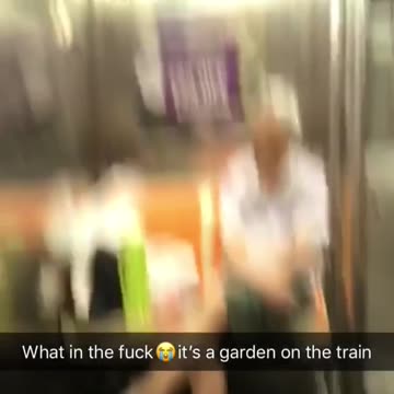 Man hangs green onions on subway