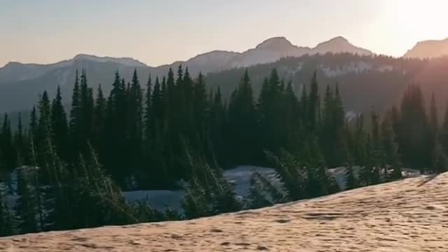 Mt. RainierNational Park