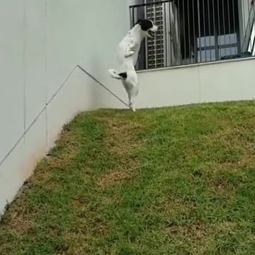 Strength and Determination Overcome any Difficulty