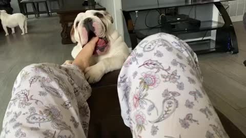 Toes for breakfast anyone