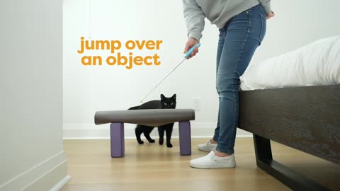 30 Tricks To Your Cat