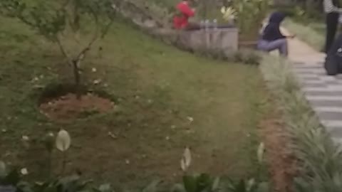 DONT WORRY BE HAPPY TO SHOOT VIDEO