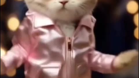 Dancing kittens