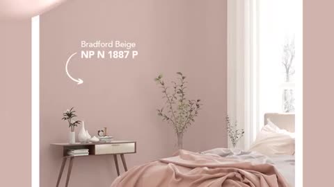 Bedroom Paint Colour Inspirations - That You'll Truly Admire!