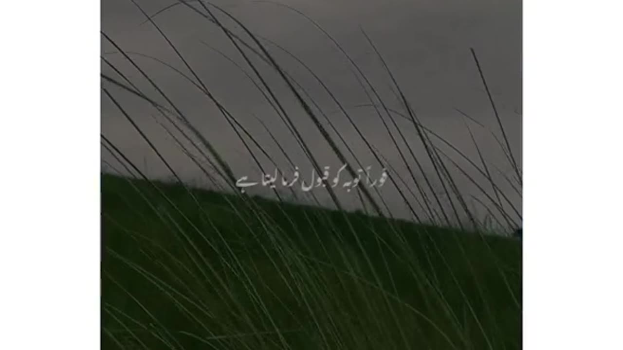 ALLAH Ma Bhol Gya Tha ❤💯