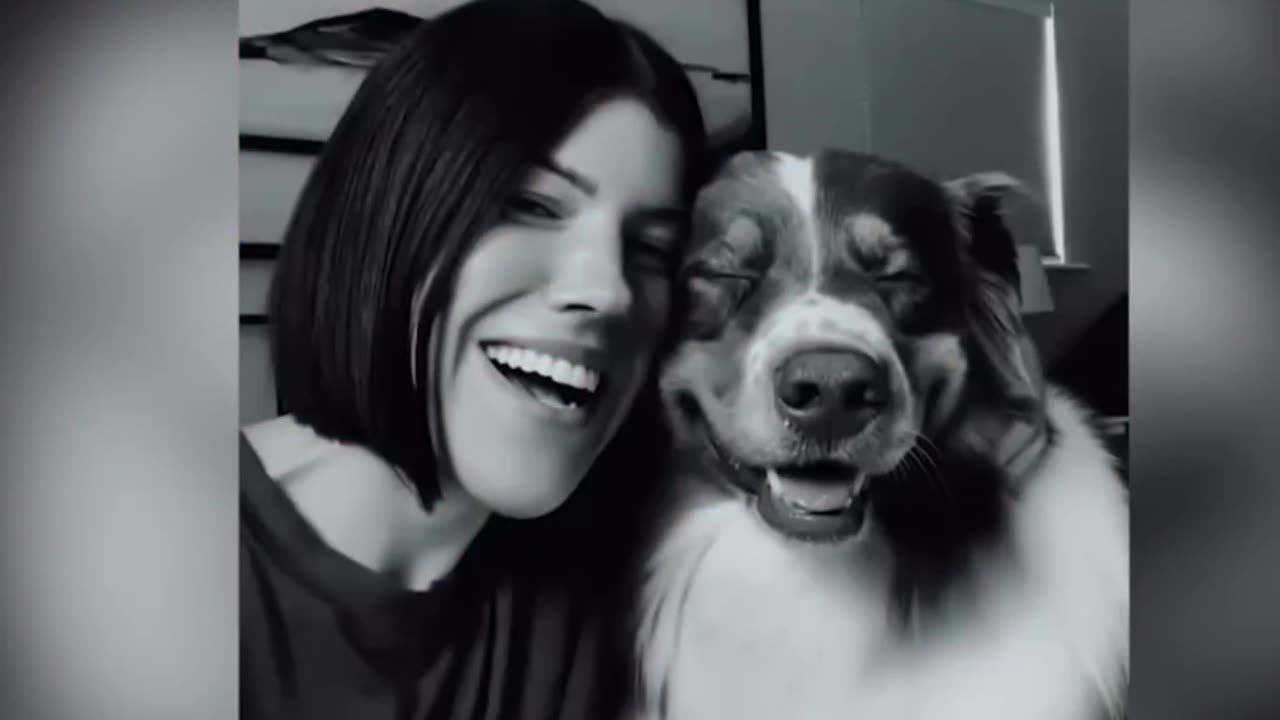 Dogs loyalty won’t end ❤️ Follow us for more videos like this! ❤️
