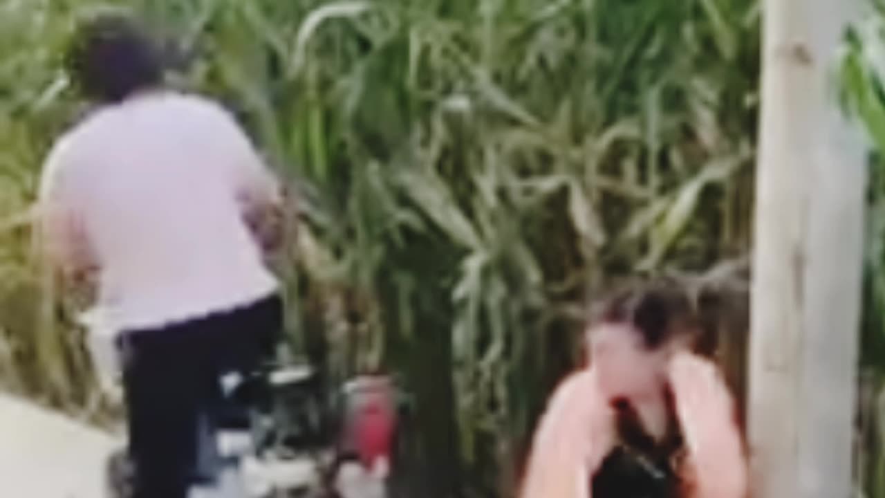 Funny🤣🤣 video