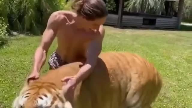 Best Funny Animal Videos (Funniest animal ever LOL relax with cute animals.