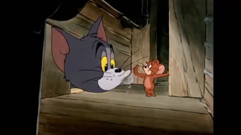 Tom and Jerry funny fight