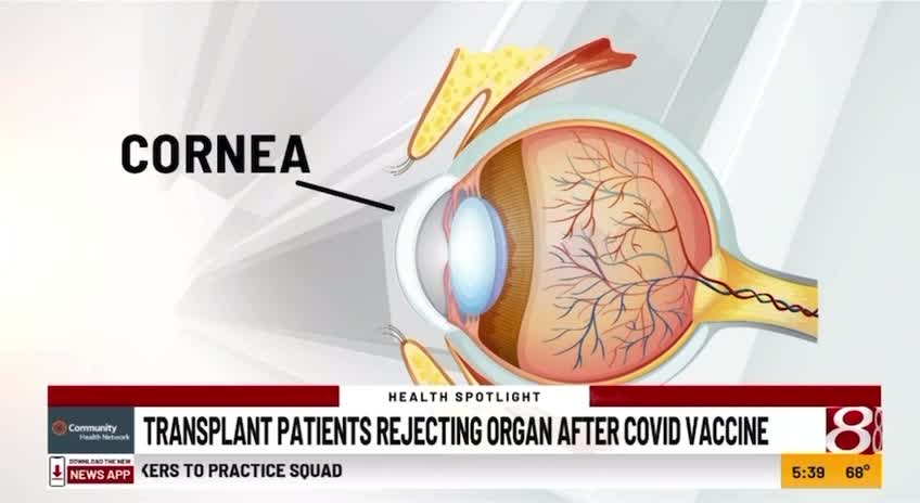 Shocking New Study about COVID-19 Vaccine (2022)