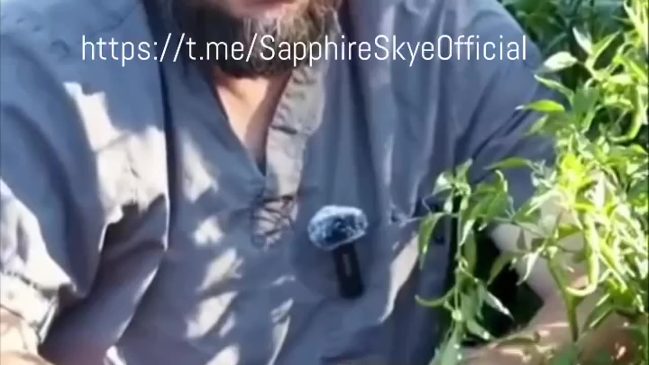 CAYENNE Best Explanation Ever