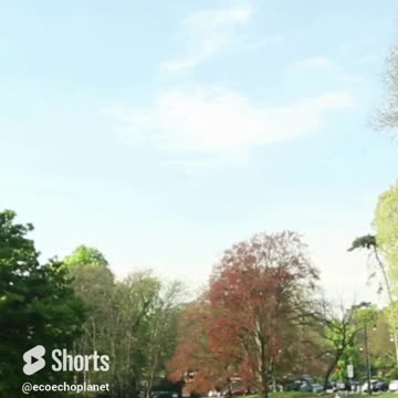 Find Your Tranquility in the Park and How Relaxing This is for Mind and Body Vol 132v2 #shorts