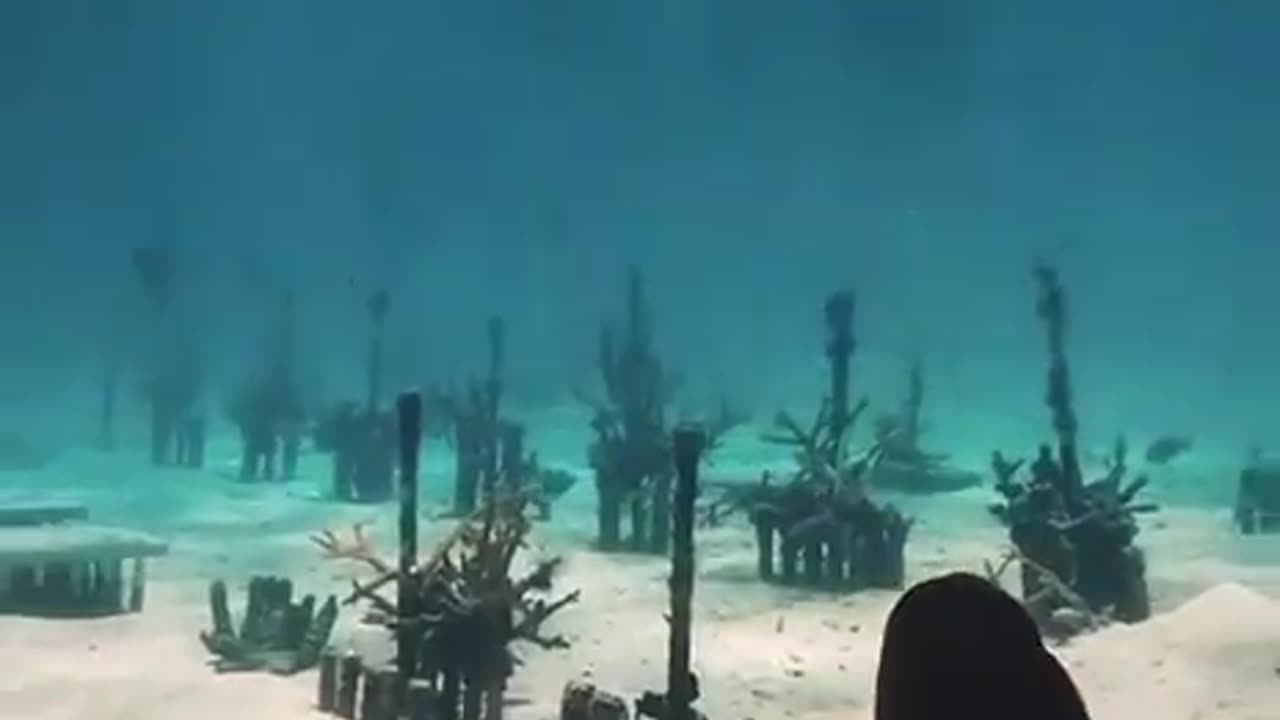 What is under the water in Florida??? HAARP???