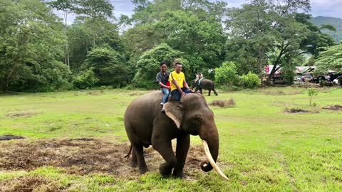 Bunayya Abati Naik Gajah 🐘