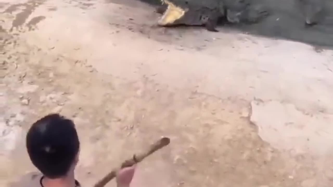 Unbelievable moments