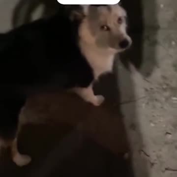 Where Is That Noise Coming From?