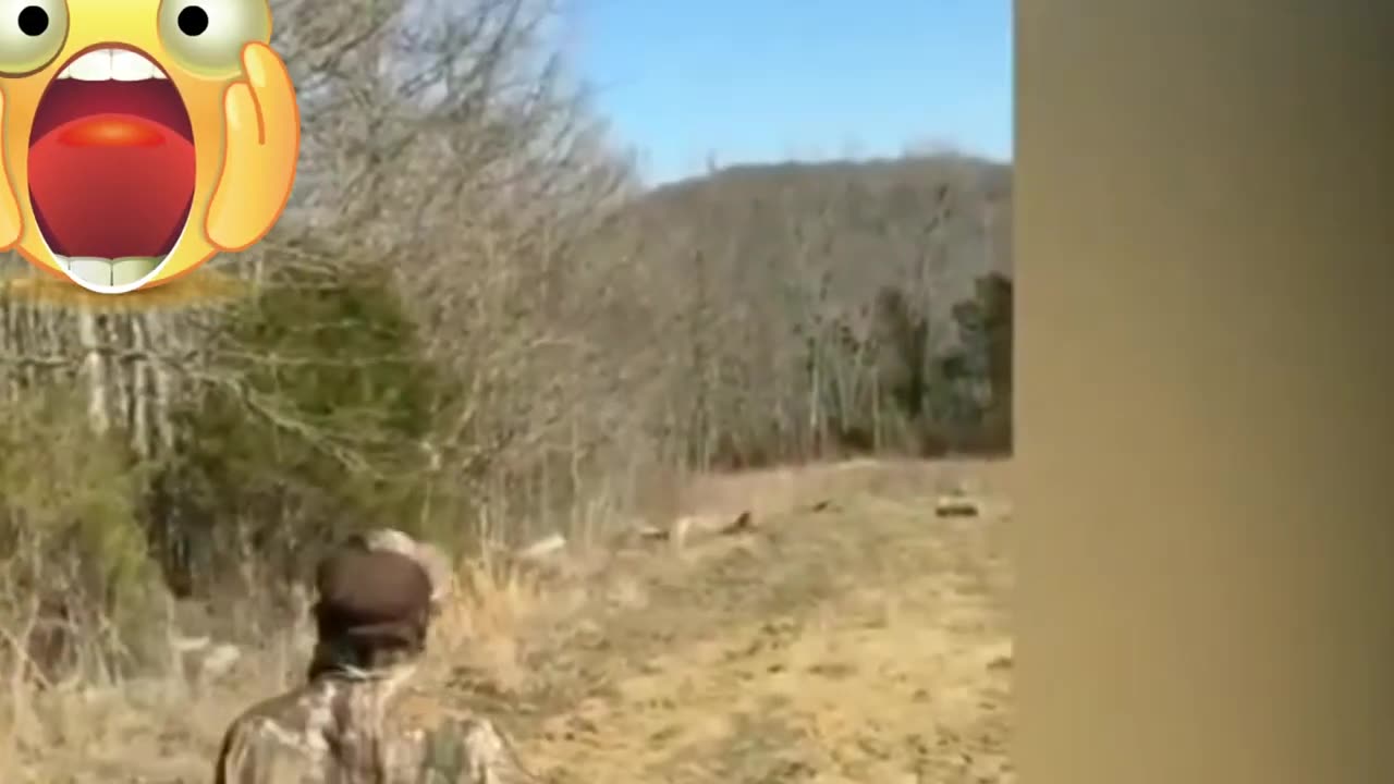 Funny accidents