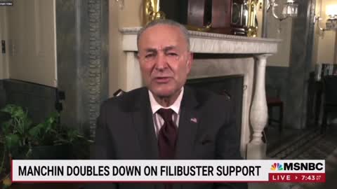 Democrats FEAR Midterms: Schumer Says They Worry They Will Lose