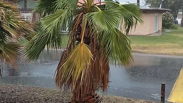 Rain in Tempe Arizona