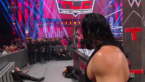 Roman Reigns fight and security guard