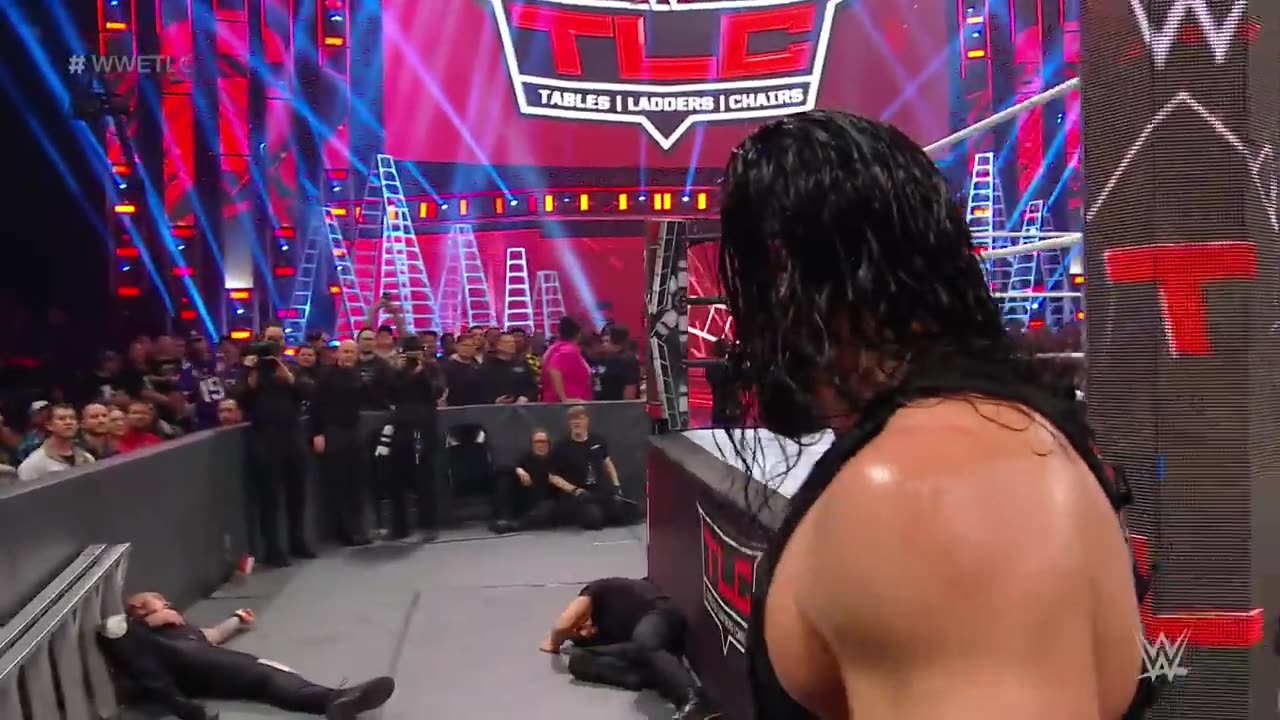 Roman Reigns fight and security guard