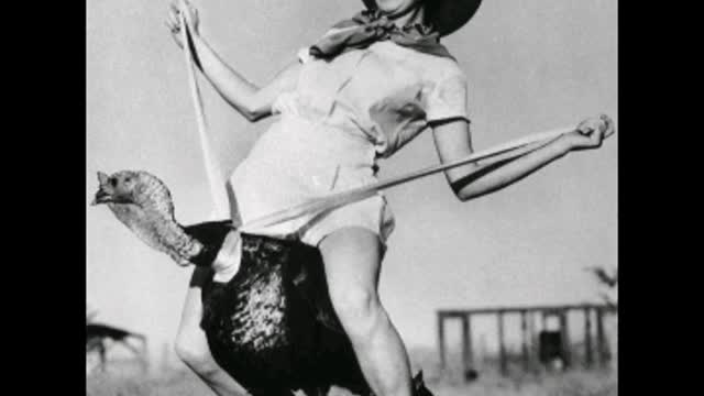 HIGHLIGHTED BY the House of ROME