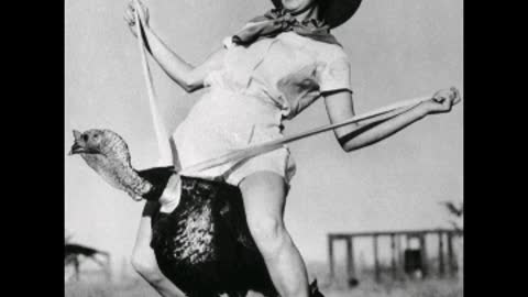 HIGHLIGHTED BY the House of ROME