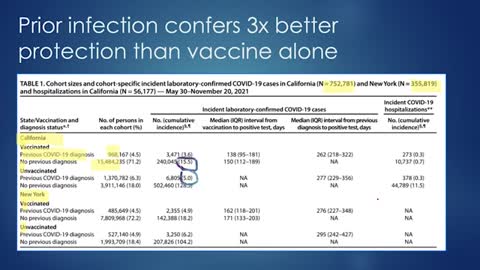 Peak Prosperity - The COVID Recovered Are Better Protected than the Vaccinated - (Re-Upload)